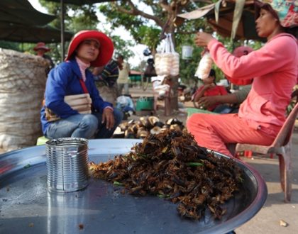 Siem Reap Gezi Rehberi