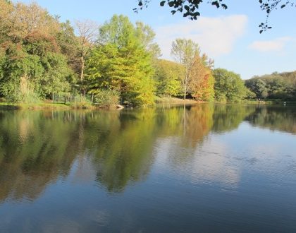 Atatürk Arboretumu