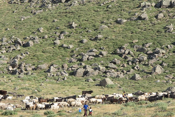Türkiye'nin En Uzun ve En Güzel Yürüyüş Rotaları