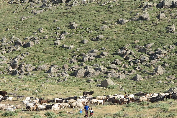 Türkiye'nin En Uzun ve En Güzel Yürüyüş Rotaları