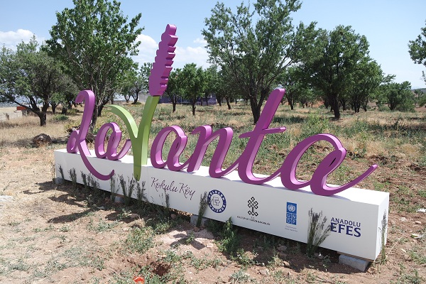 Lavanta Kokulu Köy, Isparta Keçiborlu
